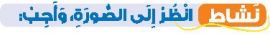 نشاط انظر إلى الصورة، وأجب